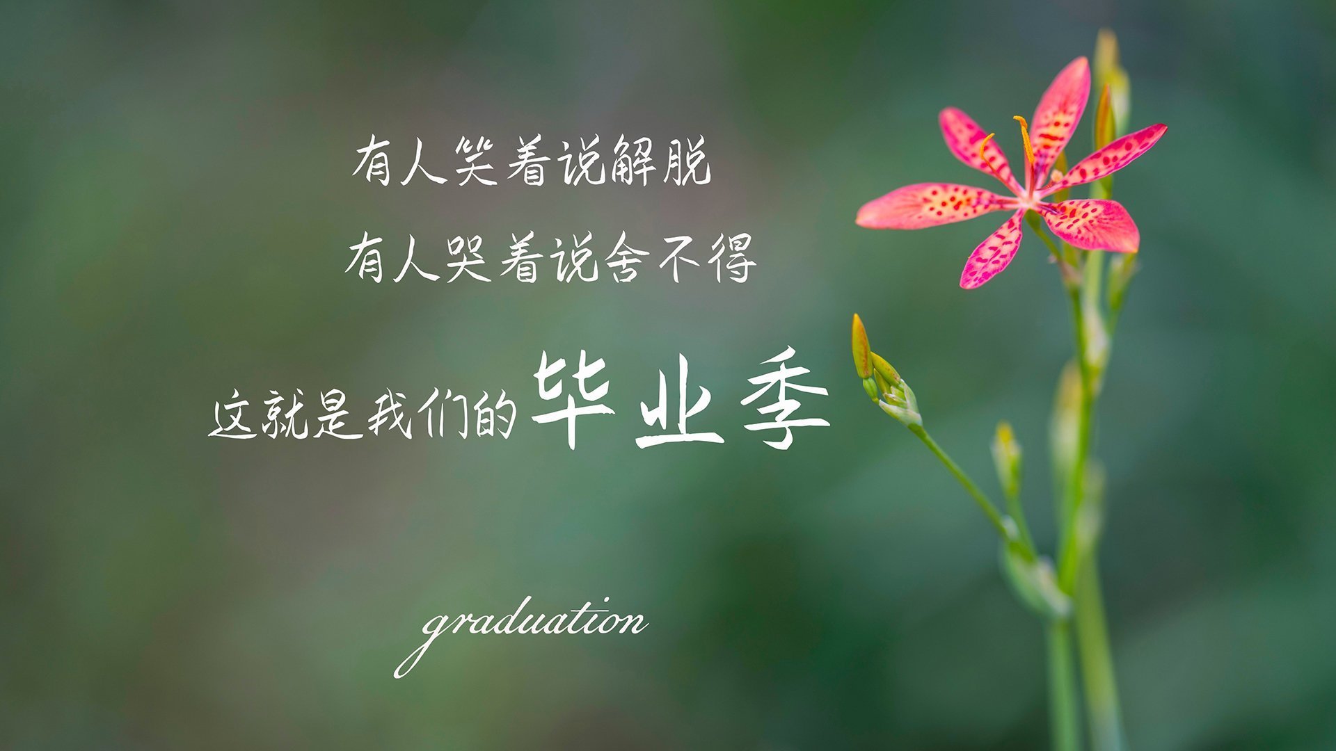 _无人机竞速赛：空中速度的全新体验_，无人机飞行比赛视频
