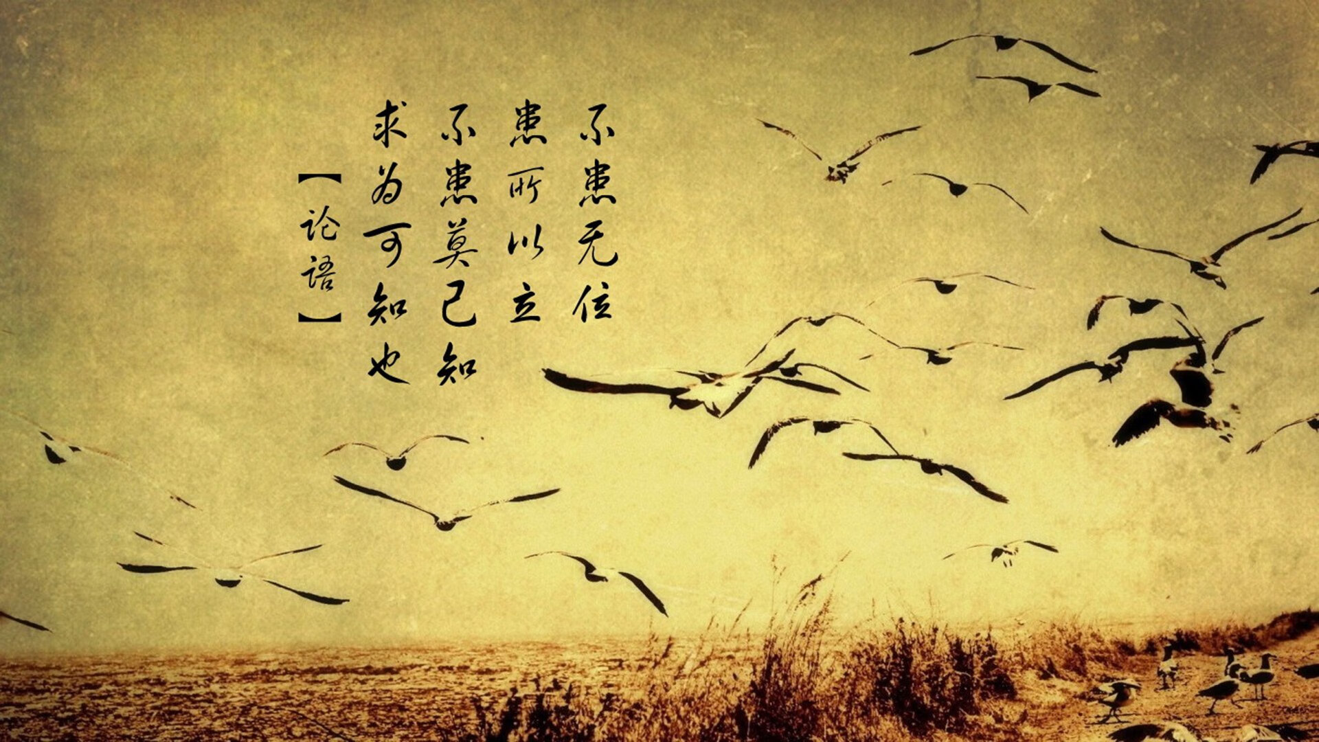 “新赛季中超志在必得，期待精彩纷呈的比赛”，新赛季中超地点