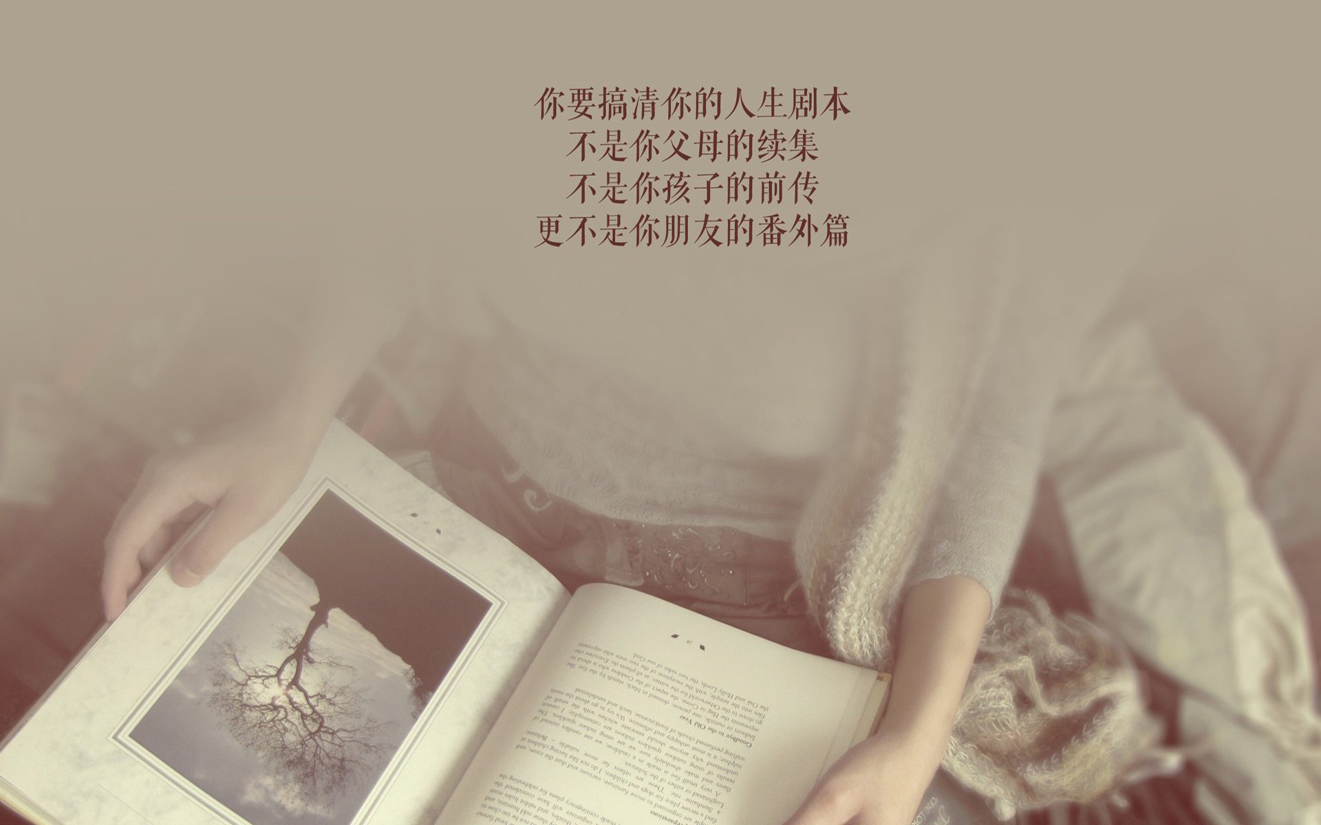 “激情现场：球迷的疯狂援助瞬间”，激情篮球