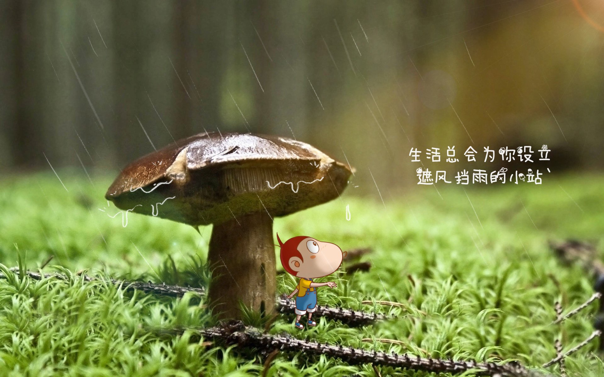 中国篮球联赛观众人数持续上涨，体现全民体育热情，中国全国篮球