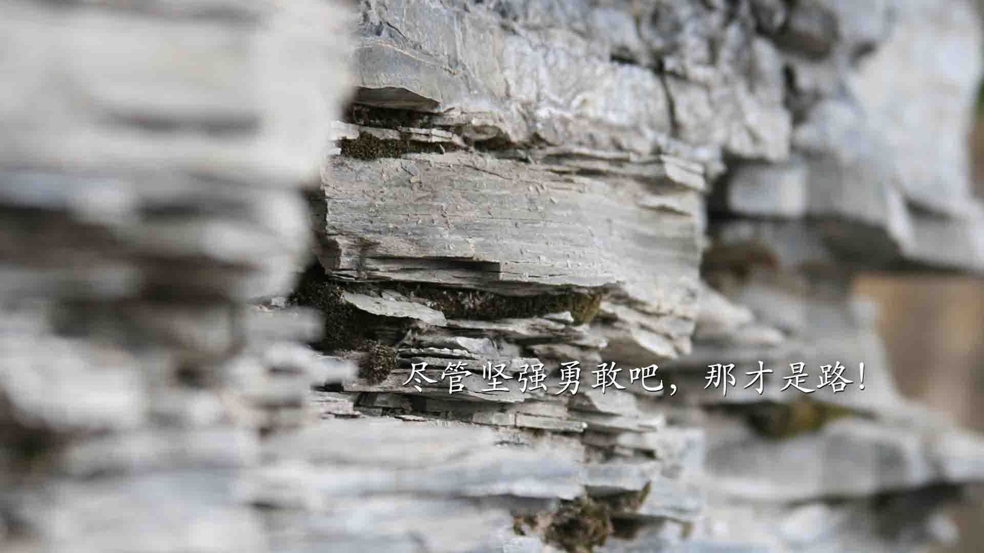 伤停名单出炉，主力中场缺阵，伤停补时什么意思