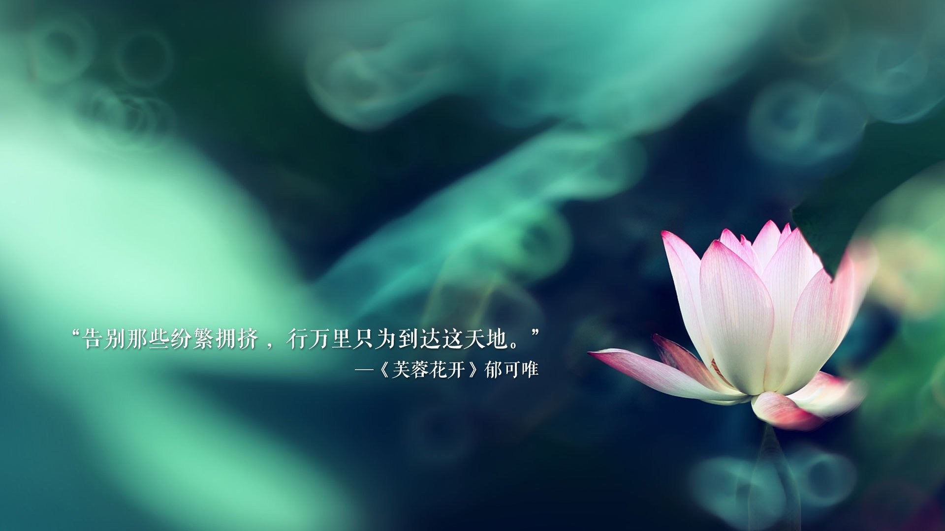 关注安全：联盟推出的新赛场安全措施详解，英雄联盟赛赛中心