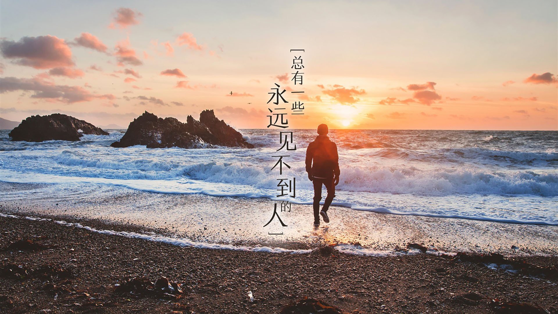 夺冠的“秘密武器”：不可或缺的核心球员