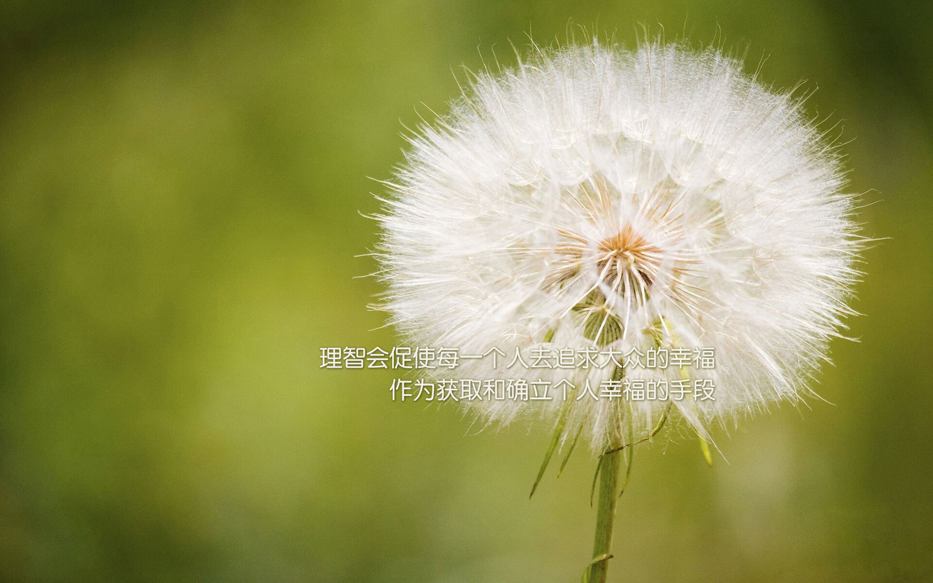 未来新秀：今年最有潜力冲击MVP的年轻天才，未来nba新秀