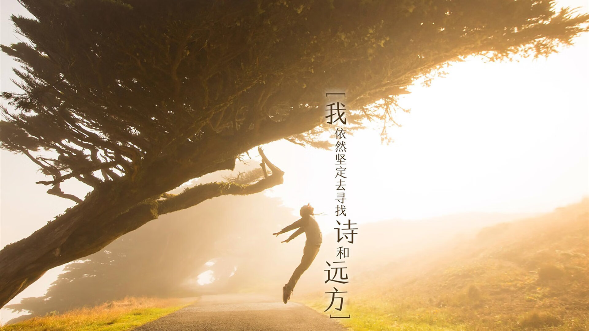 全北现代连续三轮保持不败，全北现代最新消息比赛延期