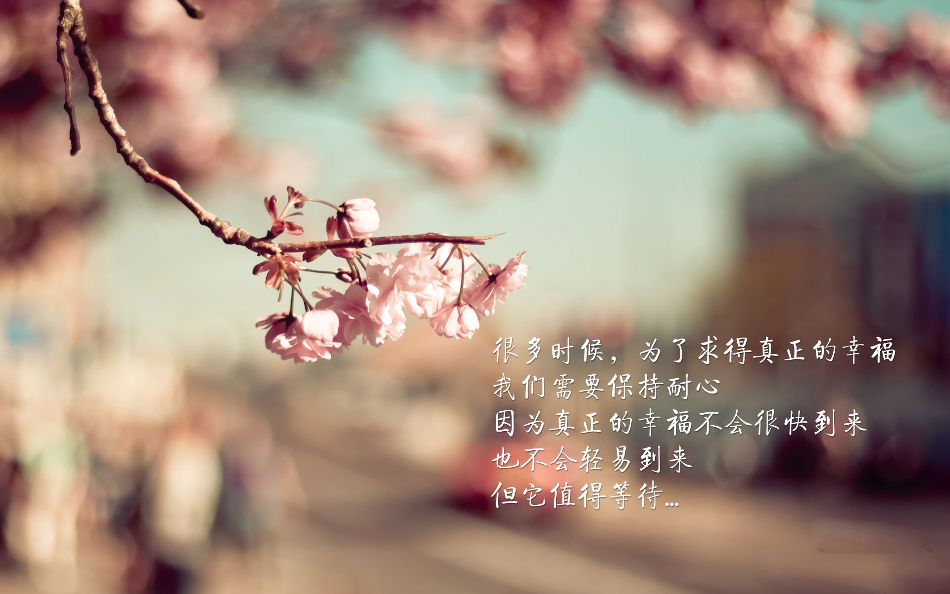 曼联对卡迪夫城展开对决，实力争夺，曼联队对曼城