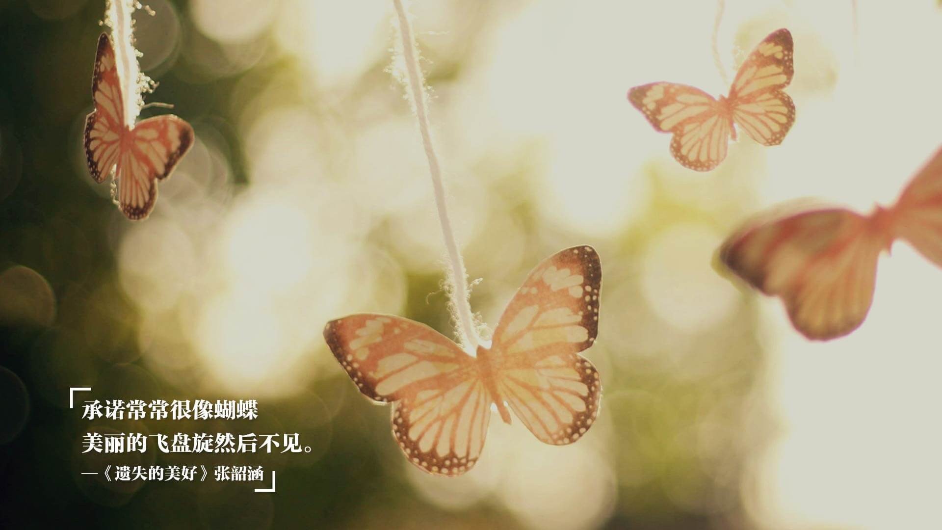 看点：湖北战队精彩逆袭打败对手，看点_湖北战队精彩逆袭打败对手的小说
