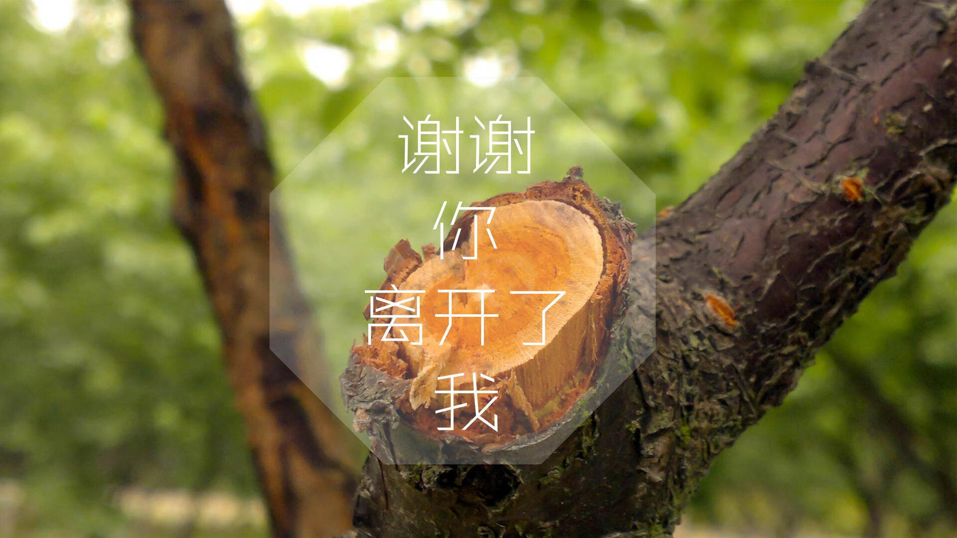 国足阵型变化与进球转化率统计，国足进攻