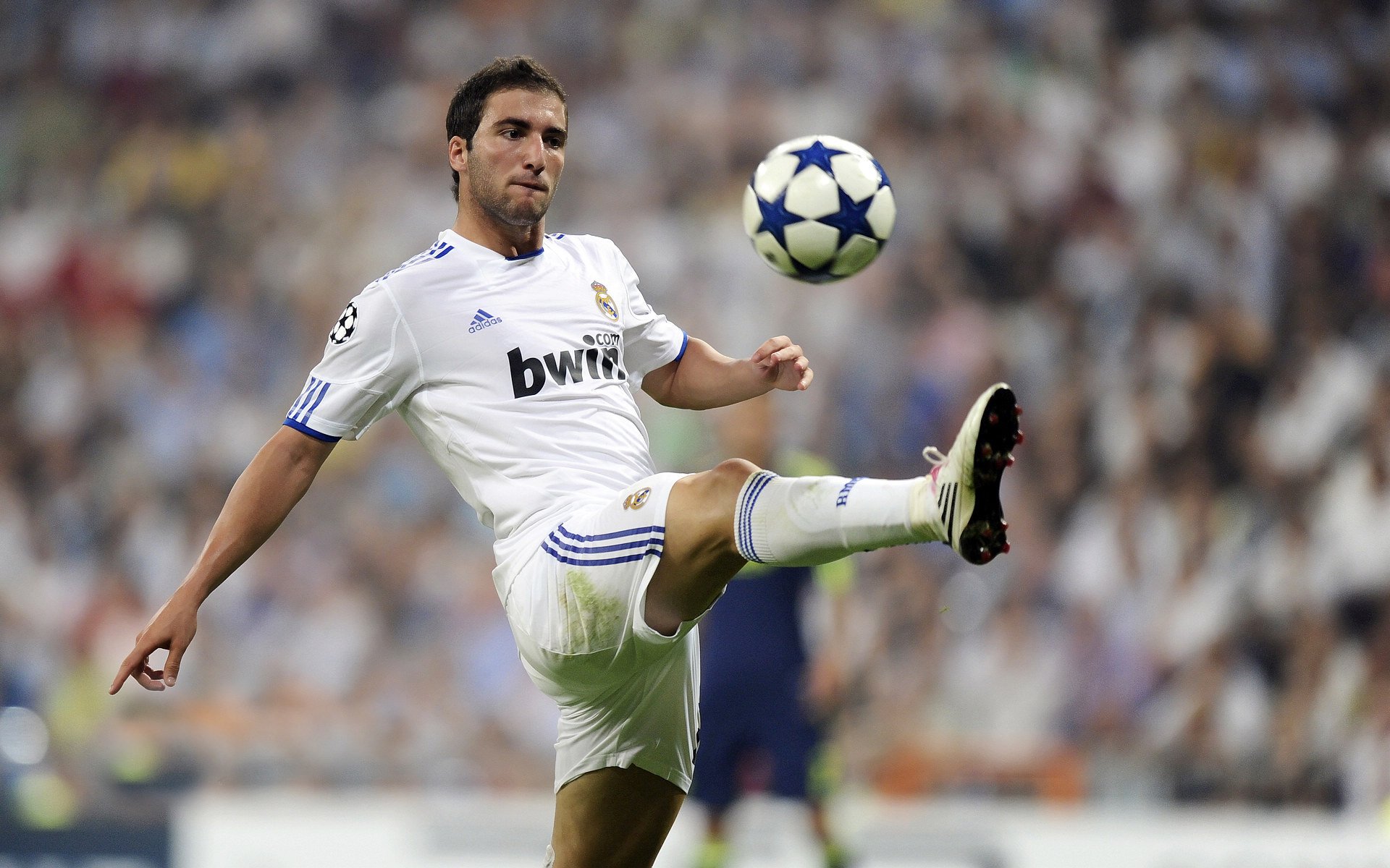 史上最大“黑马军团”实现逆转奇迹，最大的黑马